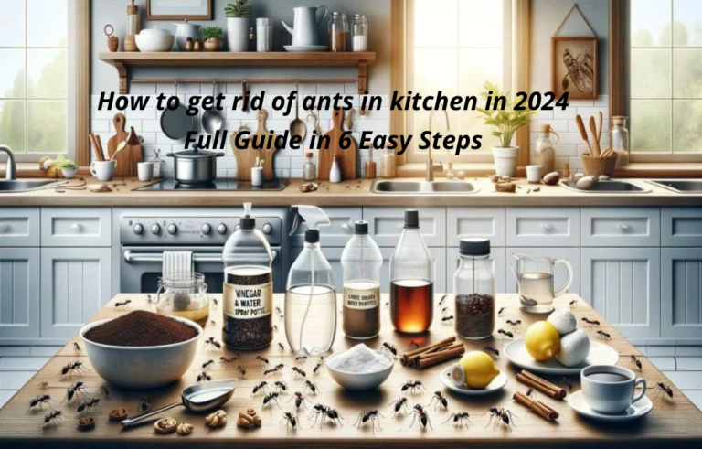 How-to-get-rid-of-ants-in-kitchen-in-2024